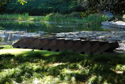 DSC_0084 (Large).JPG